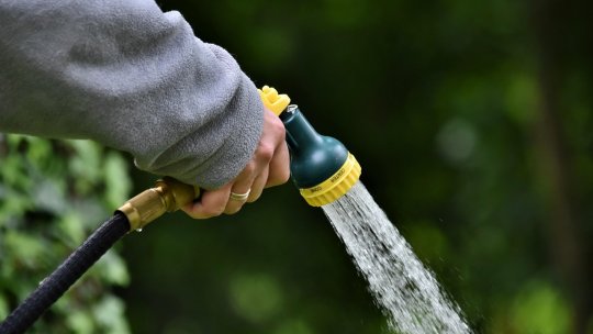 Irigarea corectă, pe timp de secetă, a grădinii de legume