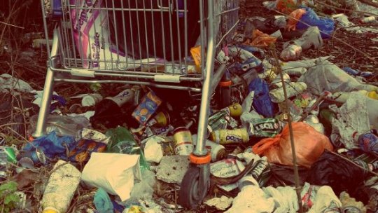 Ținta de reciclare, ratată complet în Arad: doar 6% din deșeuri sunt valorificate