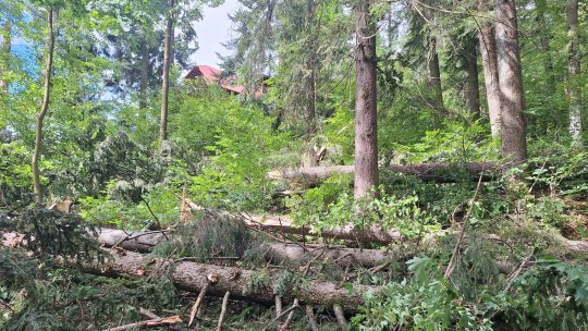 Iulie, luna fenomenelor extreme, în România; furtunile puternice din 9 iulie 2025 și urmările lor