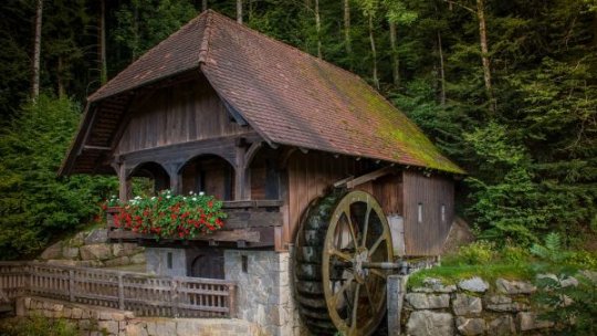 Meșterul Dumitru Suceava, restauratorul morii cu apă din Ibăneşti, a primit titlul de Tezaur Uman Viu