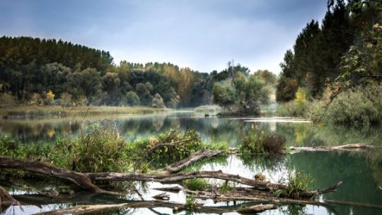 Autoritățile în alertă din cauza riscului crescut de inundații. Cod Galben în 15 județe, valabil până joi la prânz