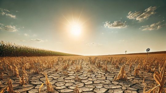 Solurile uscate compromit culturile agricole în peste jumătate din țară