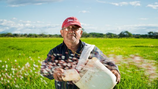 Majoritatea culturilor din județul Vaslui au rămas nefertilizate în actualul sezon agricol