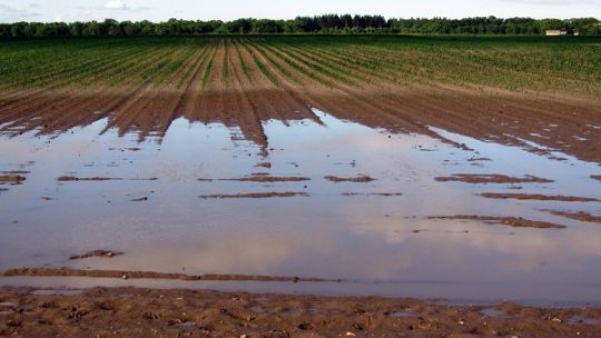 Statul va acoperi pagubele suferite de agricultori în urma breșelor din diguri