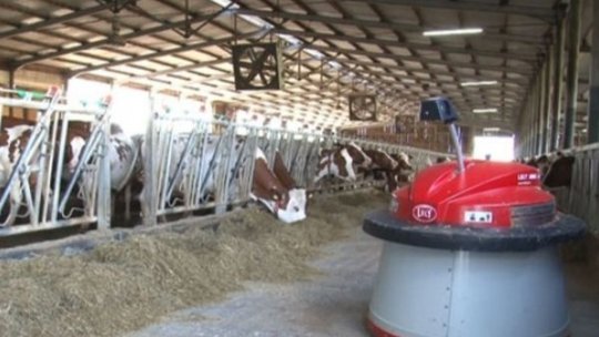 Preţurile îngrăşămintelor şi al hranei animalelor au crescut semnificativ în ultima perioadă
